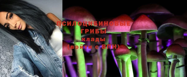 спиды Липки