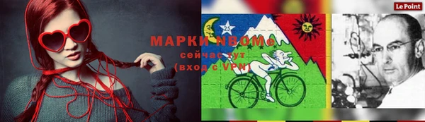 гидра Абаза