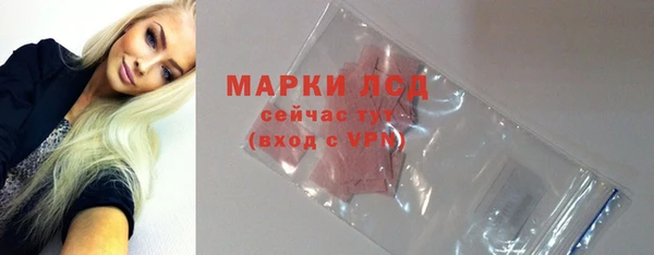 гидра Абаза