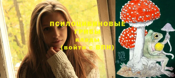 бутират Алзамай